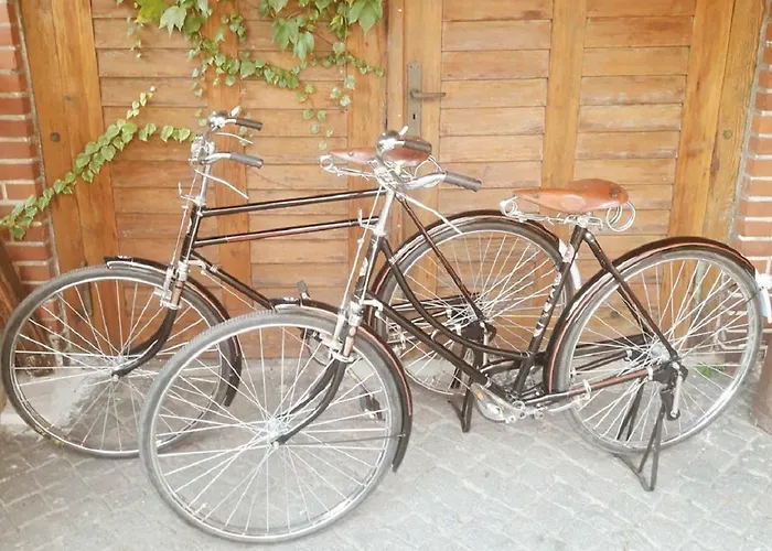 Wohnen Auf Dem Wallwitzhof Wittenberg